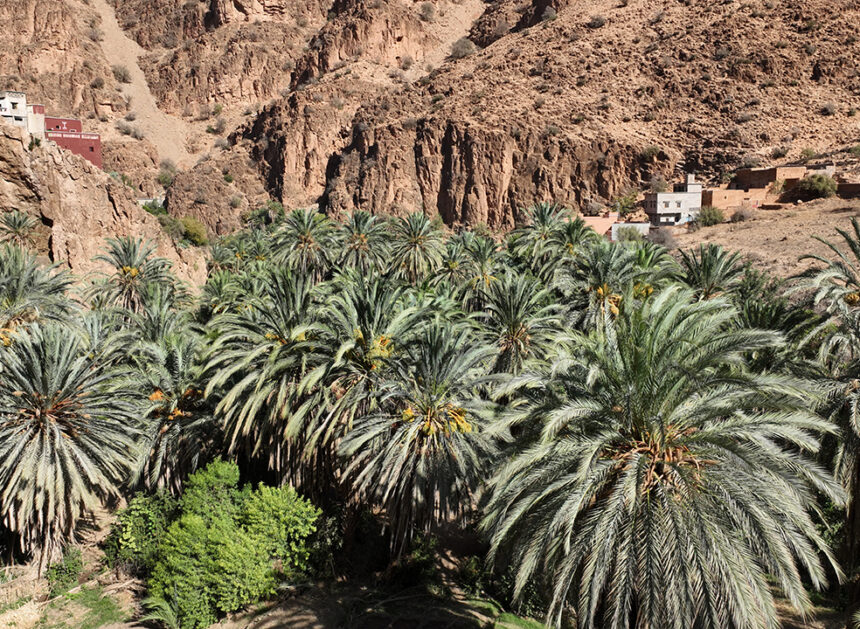 Découverte de la Vallée d’Angrui & Azaghar Nirs