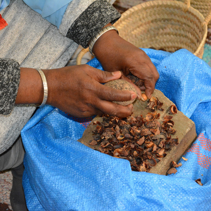 Immersion avec la Coopérative Tirizit